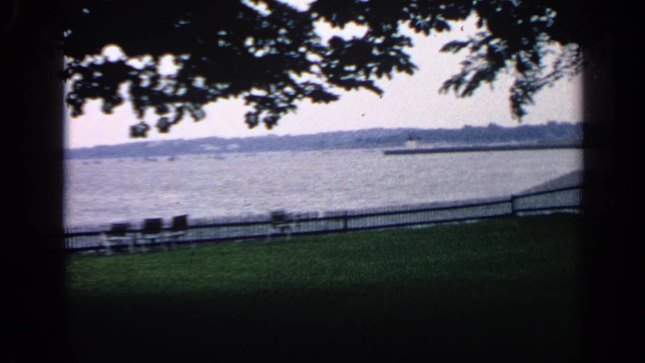 Shaded lakeside lawn with benches, low fence, overhanging branches, and distant shoreline.