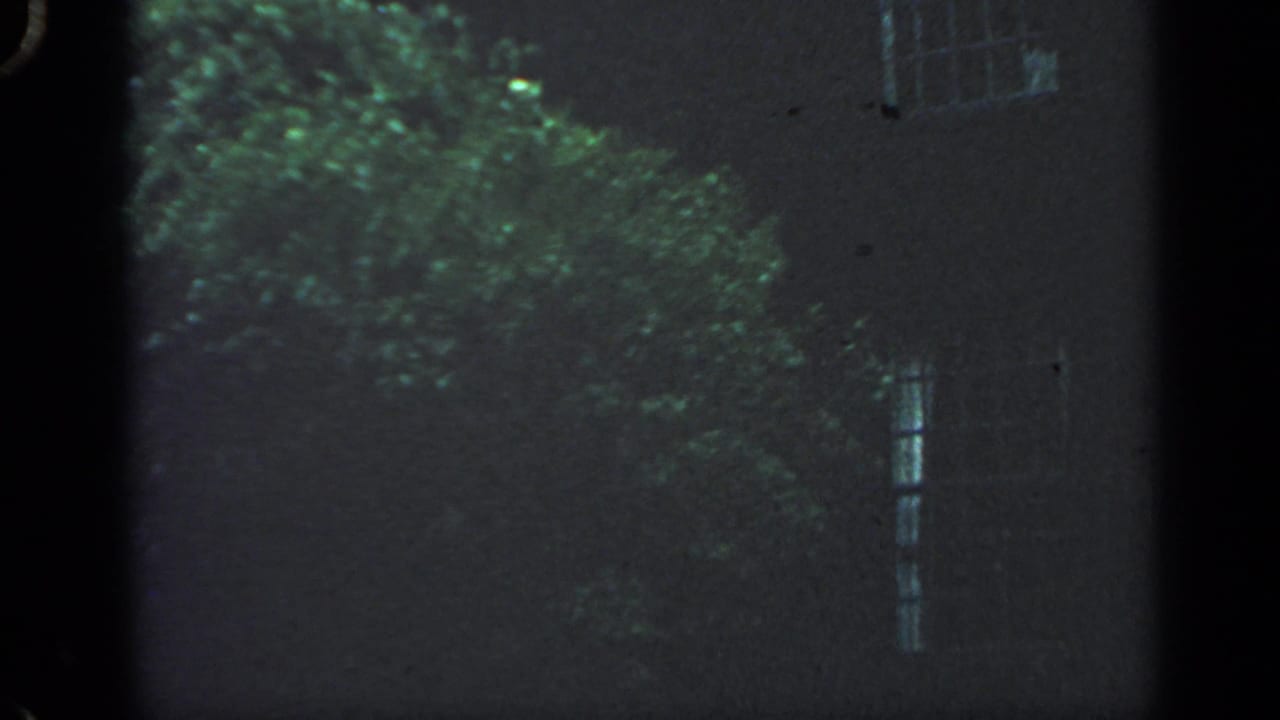Dim house wall with window, leafy tree, and vertical film-frame border.