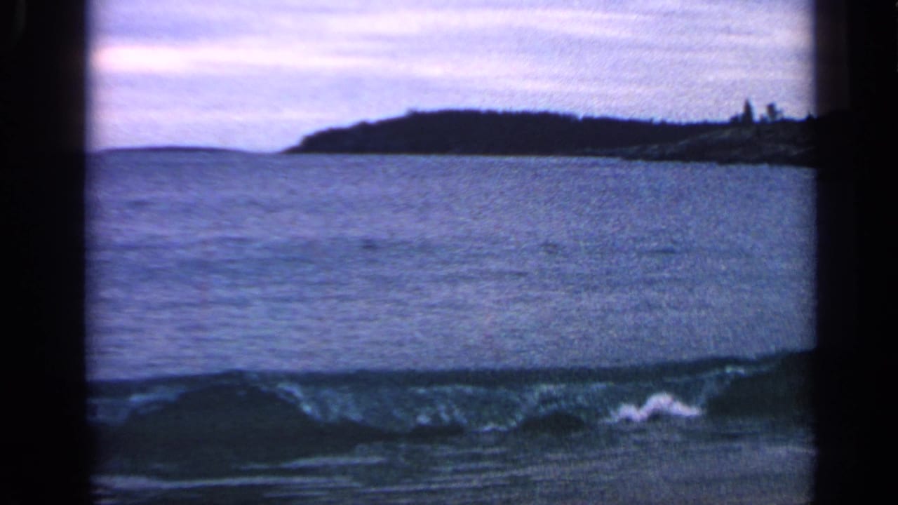 Small waves roll toward shore with a dark wooded headland in the distance.