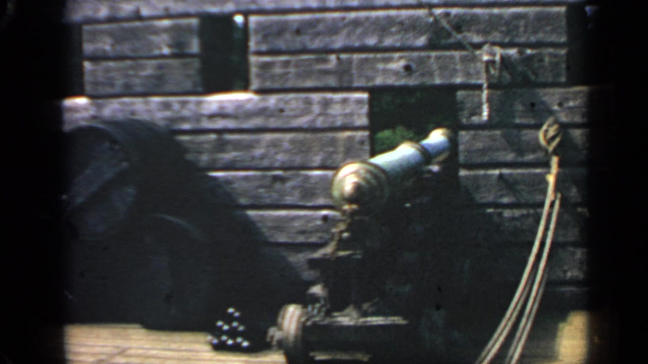 Historic cannon beside a dark wooden palisade wall.