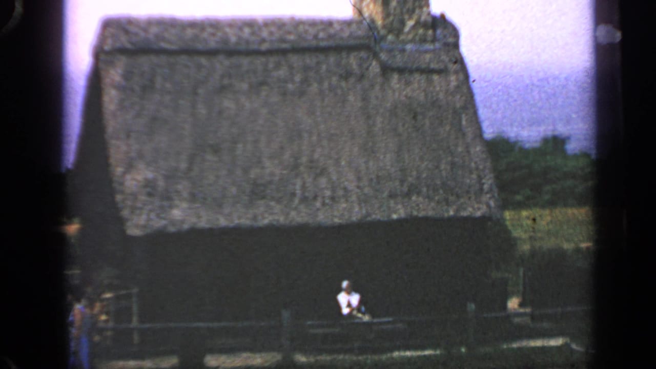 Thatched-roof cabin behind a fence with a seated person in a white shirt.