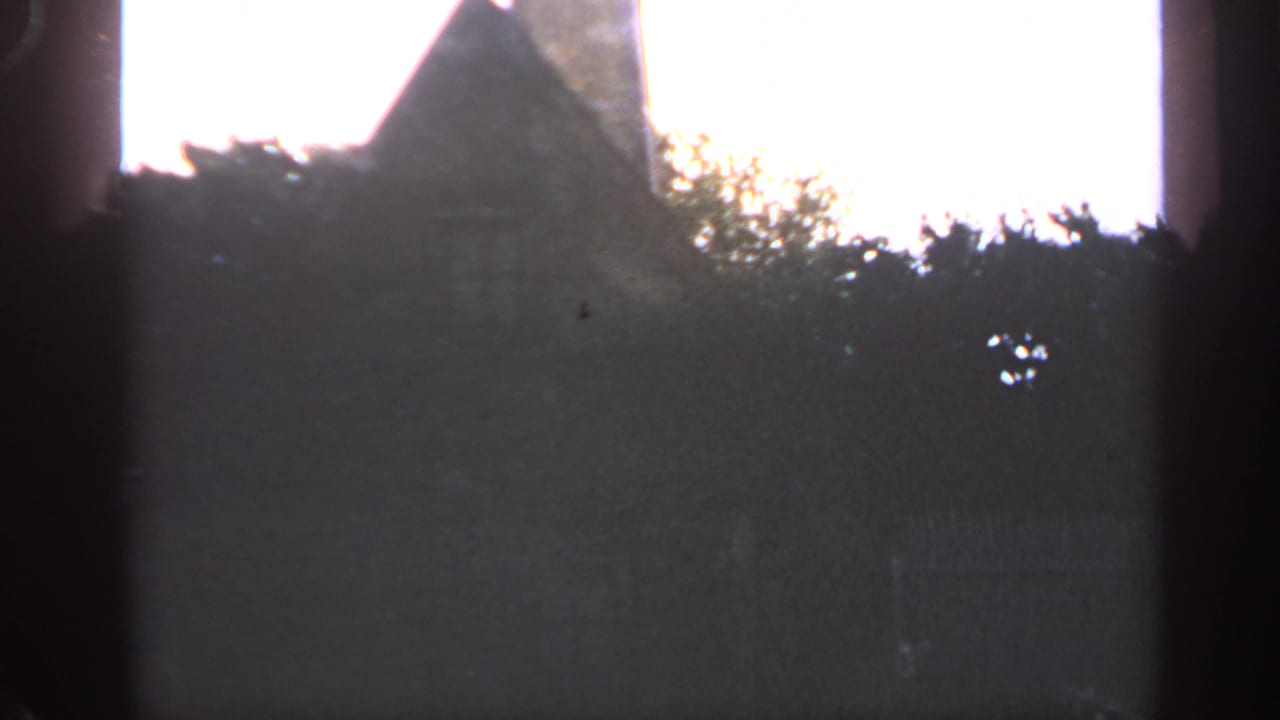 Steep stone roofline partly obscured by trees and shadow.