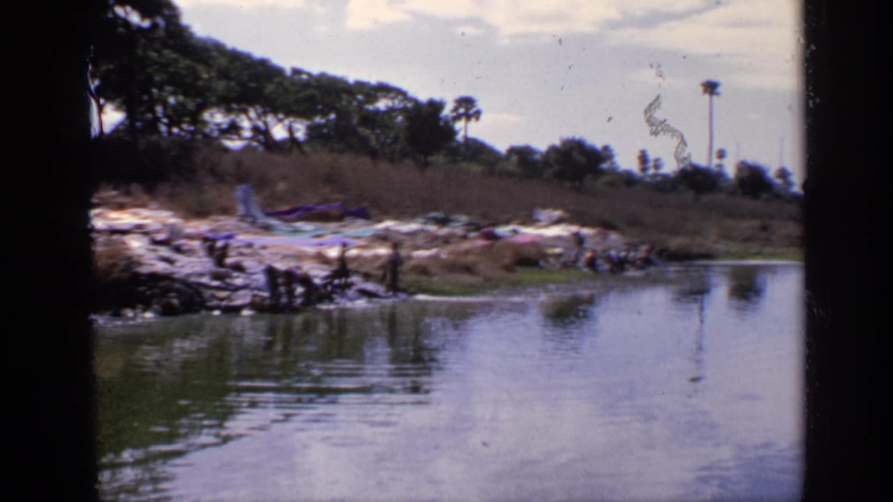 Lake water beside a grassy shore with laundry and distant palm trees.