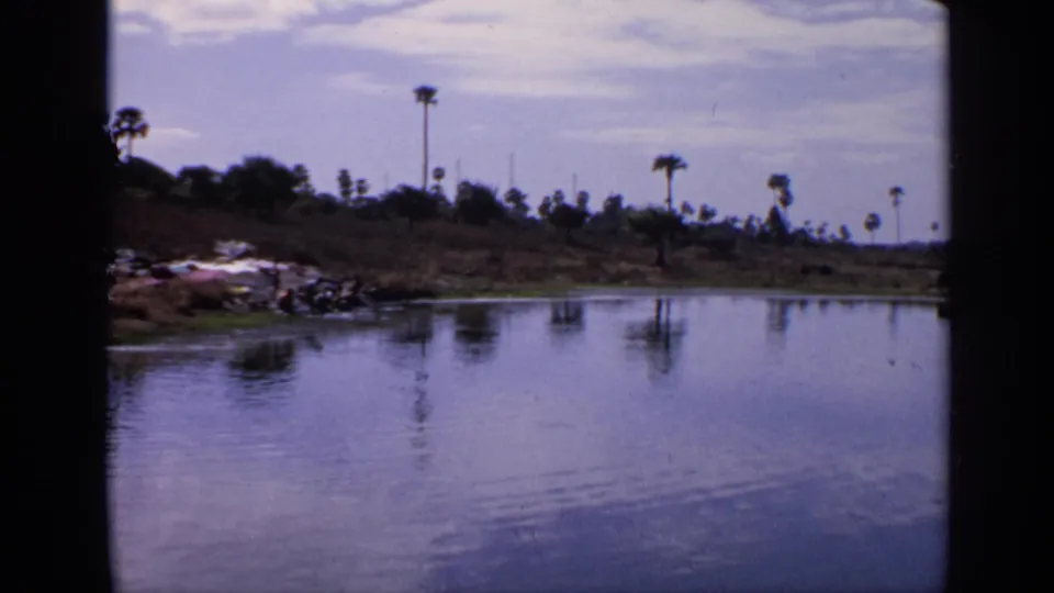 1970 India home-movie frame showing a still waterway or riverbank, low vegetation, palm trees, and scattered debris near the shore.