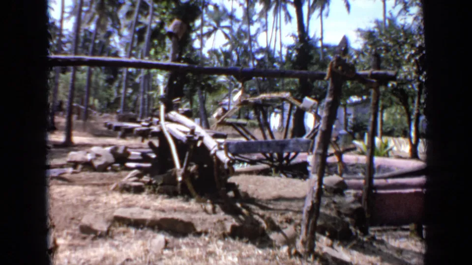1970 India frame with a collapsed wooden wheel-like farm structure, poles, debris, palm trees, and water visible behind.