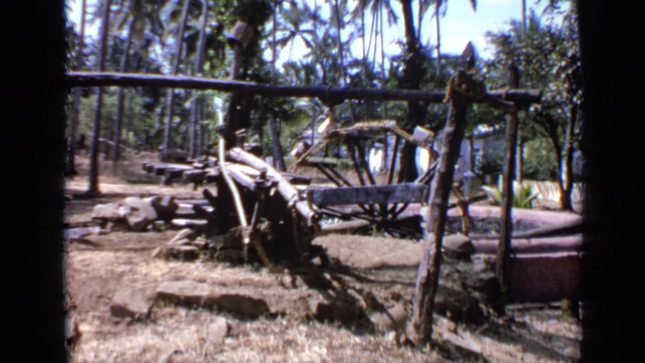 Weathered wooden cart or farm implement on dry ground among palm trees.