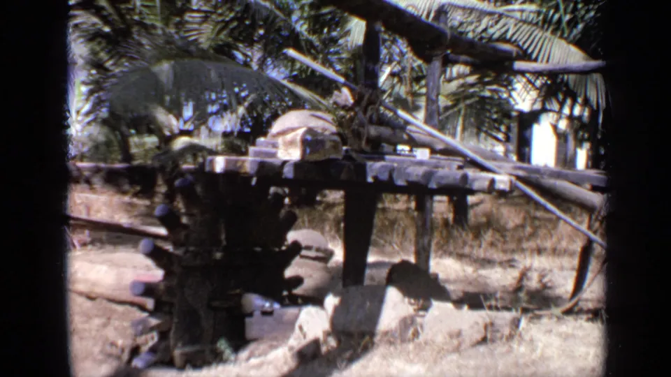 1970 India frame showing a cart-like wooden object and angled poles in a dry outdoor area, backed by palms, foliage, and strong sunlight.