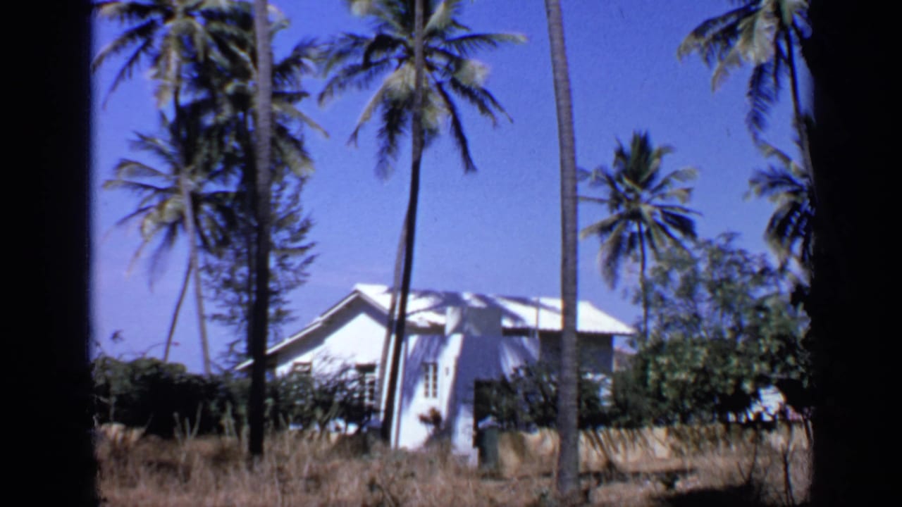 White building under tall palm trees with dry grass and blue sky.