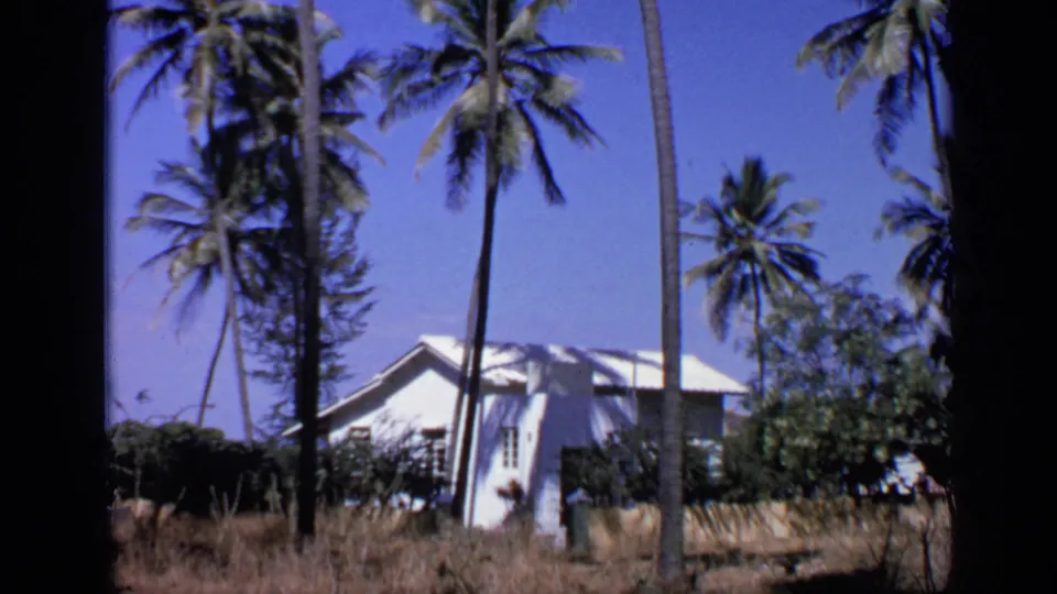 Palm trees frame a white building in a sunlit Indian tropical setting, with dry foreground grass and dense shrubs.