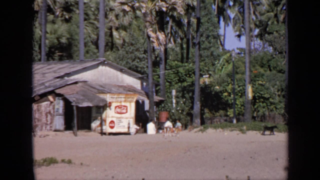 Beach shack with Coca-Cola sign, palm trees, sand, people, and a black dog nearby.
