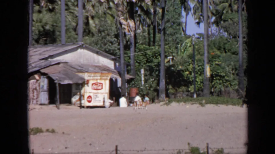 1970 India beach scene showing a small shack with Coca-Cola signage, tall palms, people near the doorway, and animals on the sand.