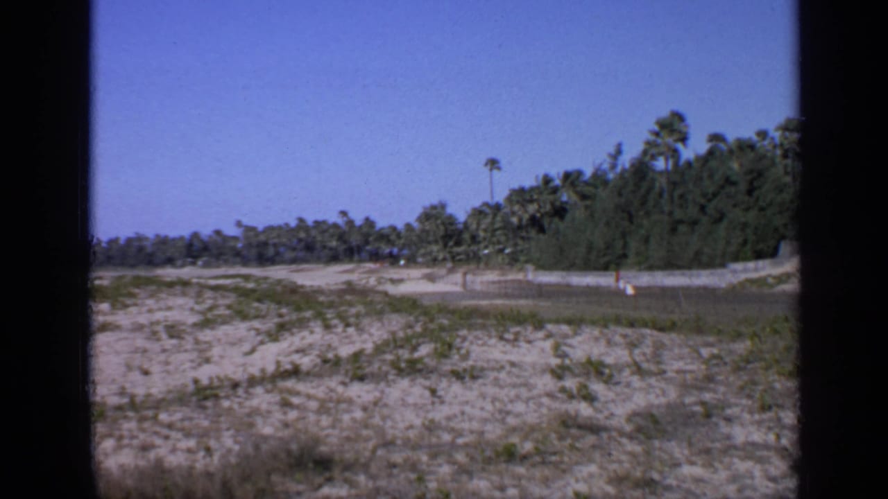 Sandy open ground with low vegetation, palm trees, and a blue sky.