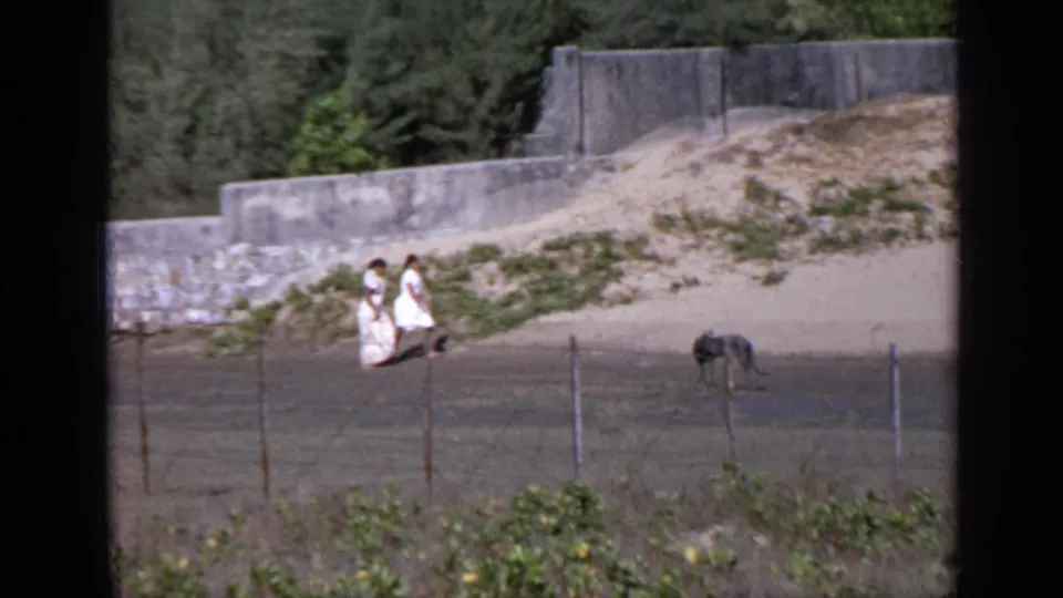 Two women in white walk near a stone wall as a dark dog moves through the foreground area in 1970 India home-movie footage.
