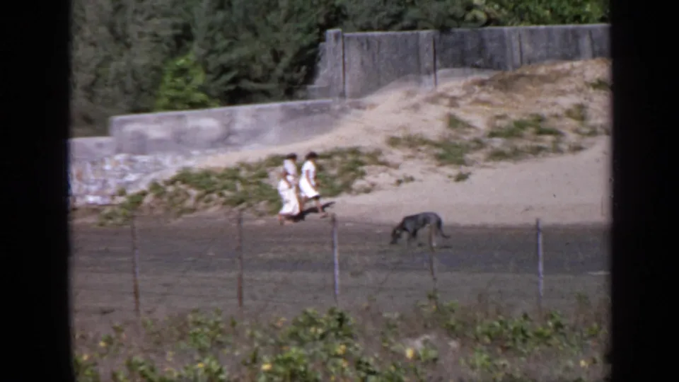 The women continue along the dirt path while a dark dog crosses nearby, with a stone wall, sandy bank, and trees in the background.