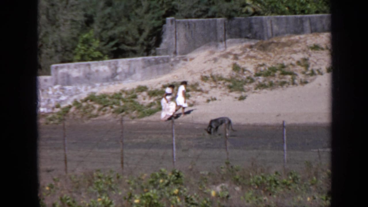 Couple walking on sand near a concrete wall, with a dark animal by a wire fence.