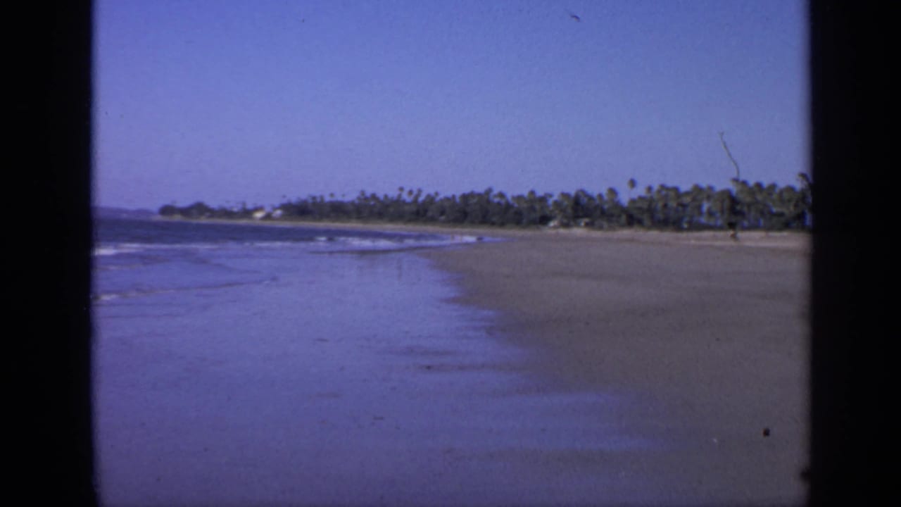 Wide beach with shallow surf, tan sand, palm trees, and dark 8mm frame borders.