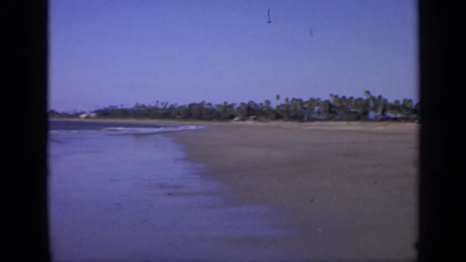 1970 India home-movie frame of a broad beach beside shallow surf, with a low palm-tree line across the horizon.