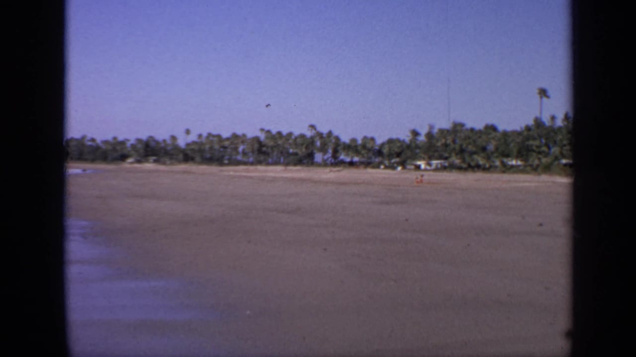 Wide sandy beach with palm trees and blue sky, framed by dark film borders.