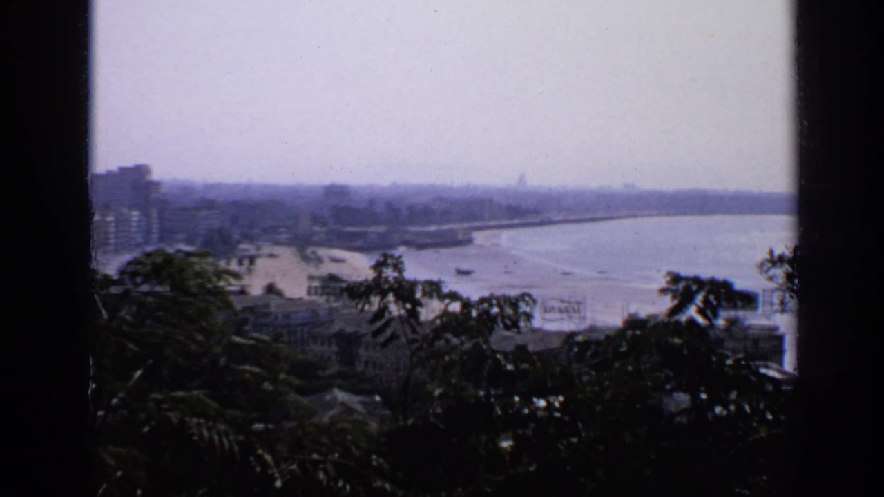 Hazy coastal city view with sea, shoreline buildings, boats, and dark foreground trees.