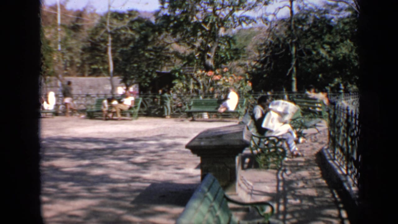 Park benches and seated people near trees and a low wall.