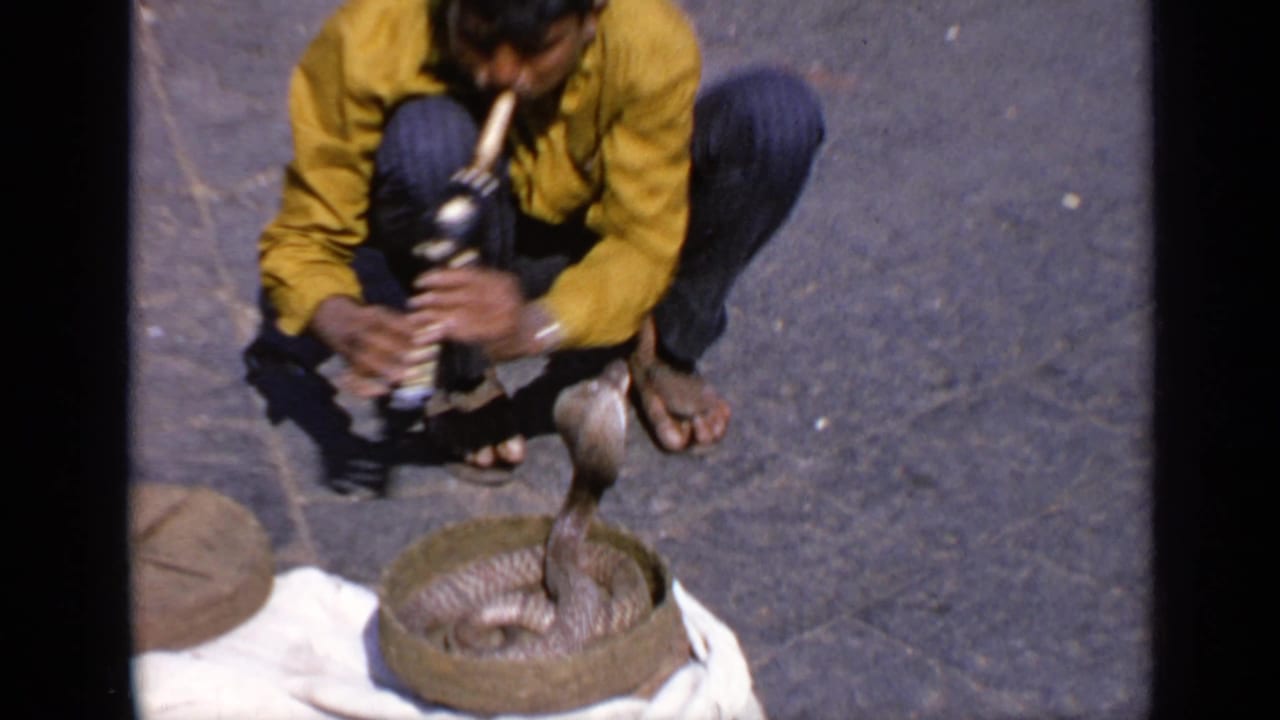 In 1970 India home-movie footage, a man in a yellow shirt crouches on pavement as a cobra rises from a round basket.