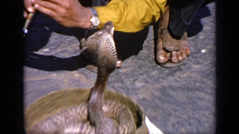 The raised cobra faces the crouching performer, with the basket below and sandals visible at the edge of the frame.