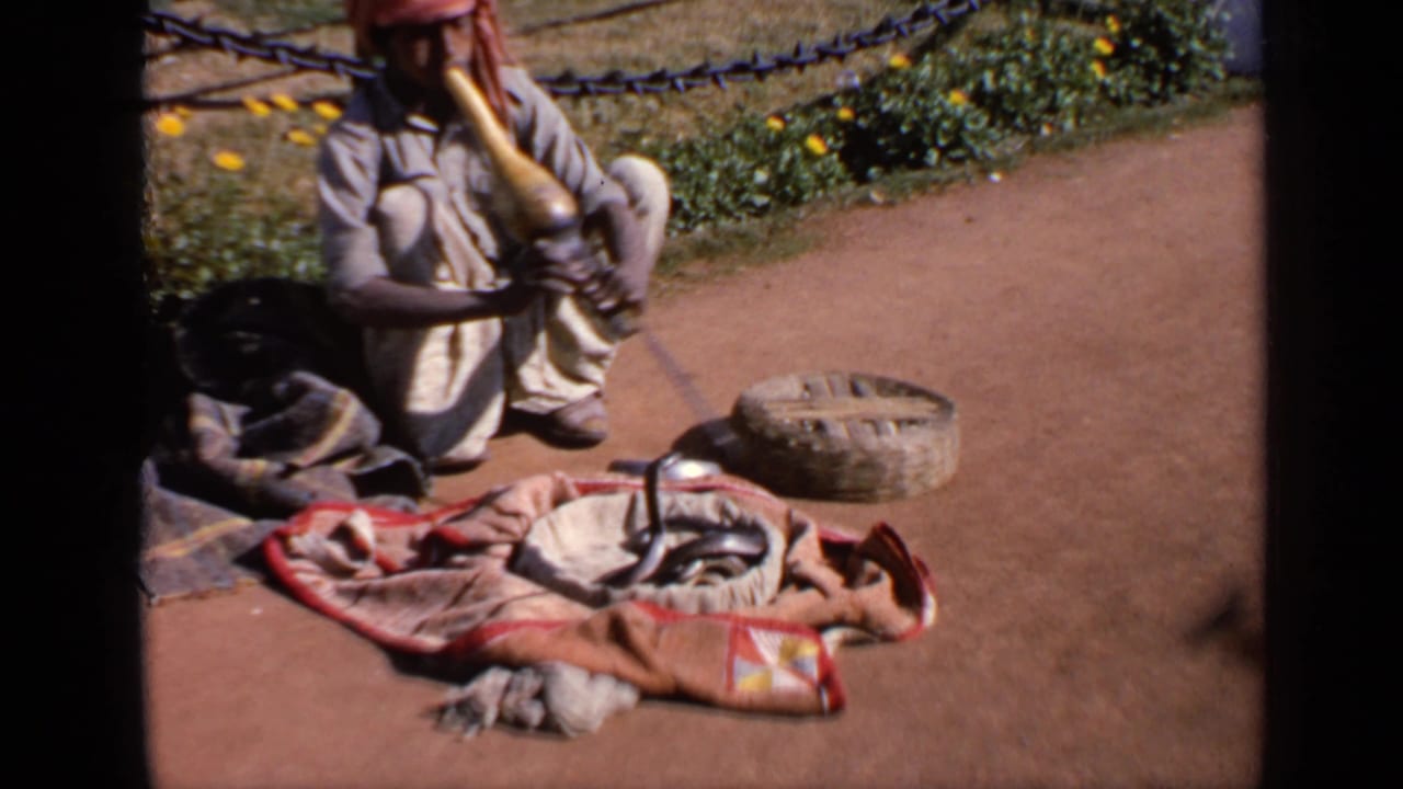 India travel footage shows a snake charmer in light clothing and red headwrap performing beside a raised cobra and woven basket.