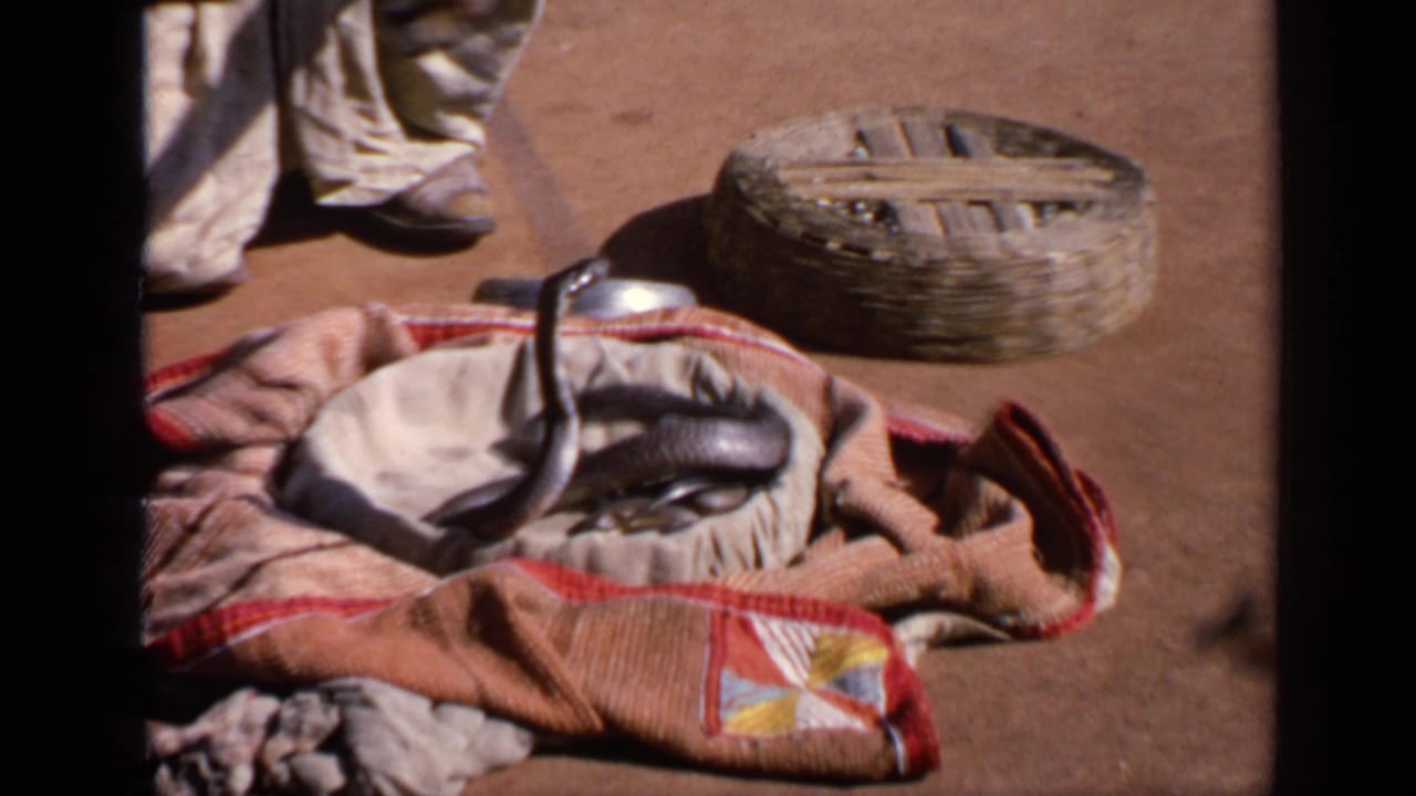 Closer 8mm frame from India shows the cobra and patterned cloth in the foreground, with the performer partly cropped at the edge.