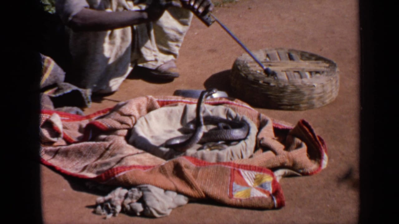 A cropped India 1970 frame shows the snake charmer's instrument directed toward the cobra on the cloth, with the basket beside it.