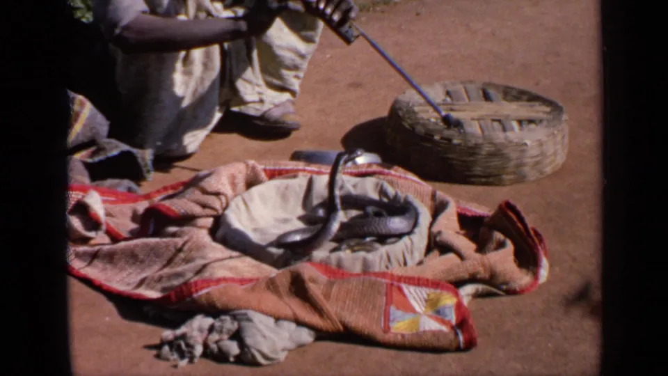 A cropped India 1970 frame shows the snake charmer's instrument directed toward the cobra on the cloth, with the basket beside it.