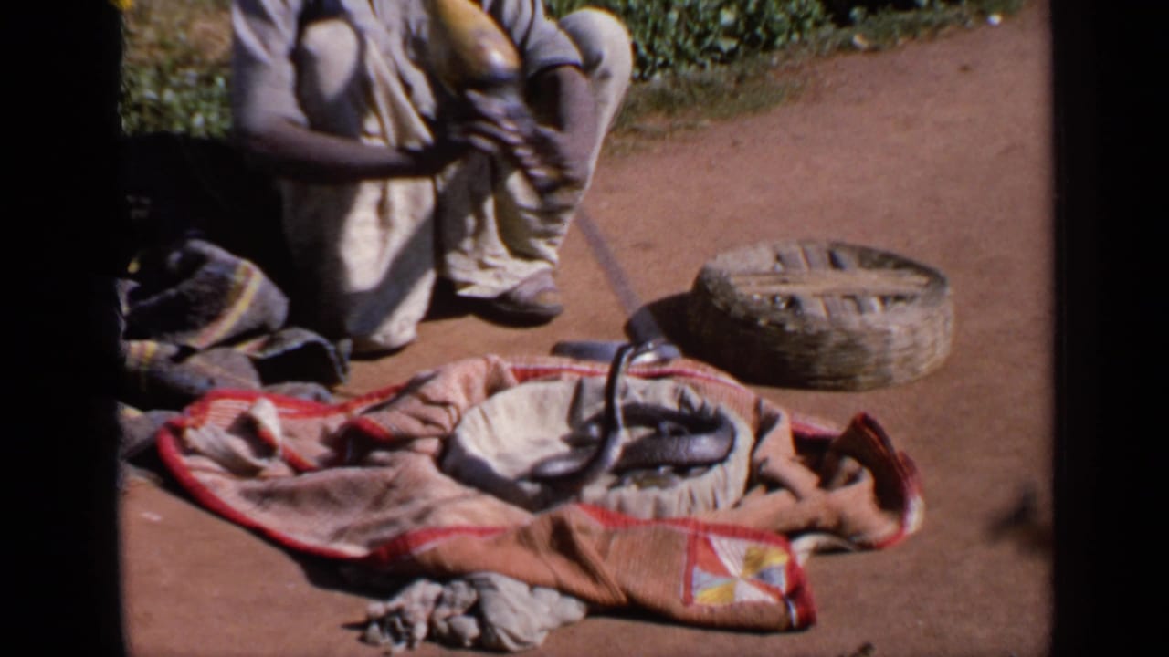 In 1970s India, a seated snake charmer performs beside a patterned cloth and basket as a cobra rises in bright sun.