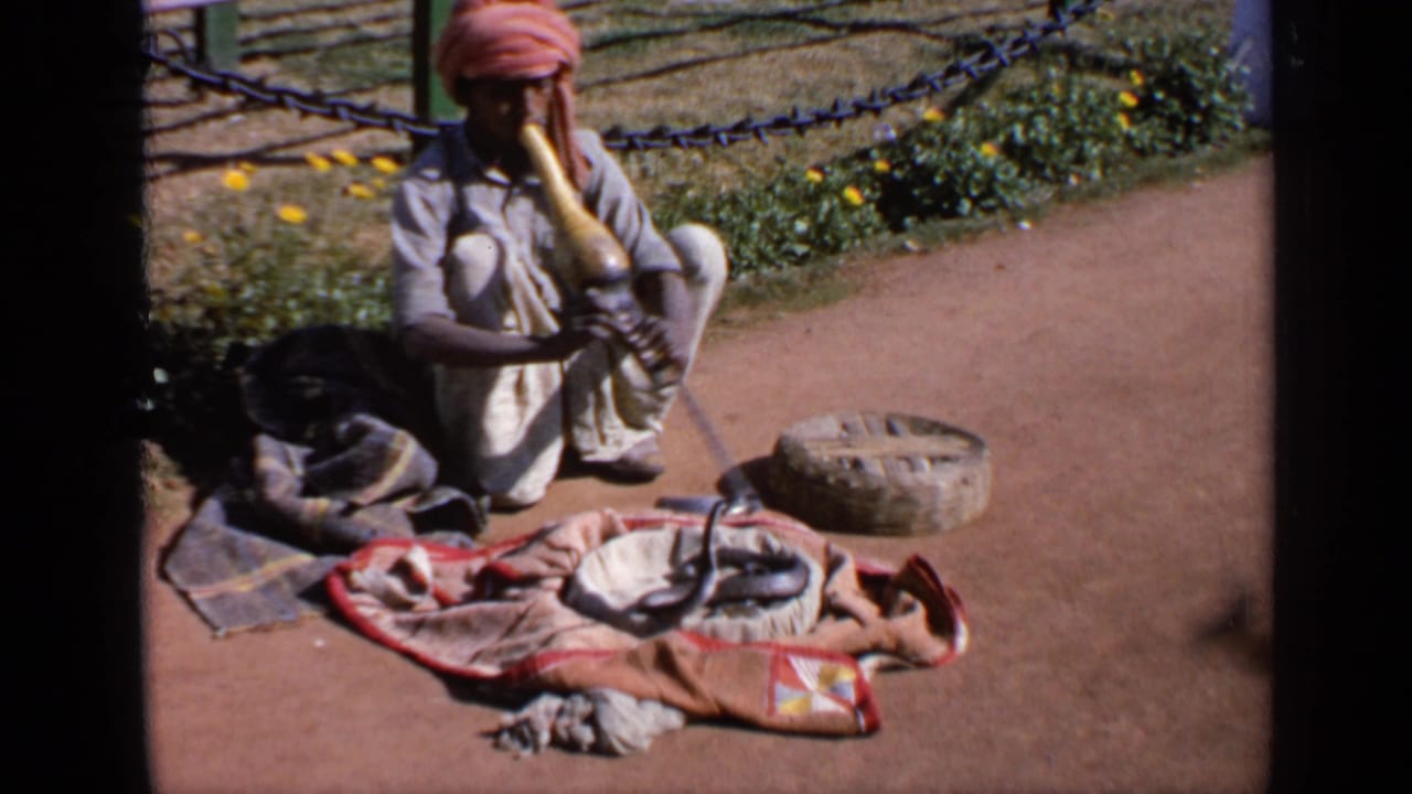 A snake charmer in India plays a curved wind instrument while a cobra remains on a patterned cloth near a basket.
