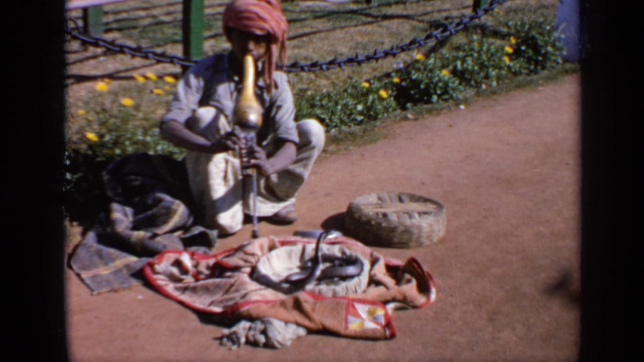 The 1970s India home-movie frame shows a seated snake charmer, cobra, patterned cloth, basket, and garden barrier in sun.
