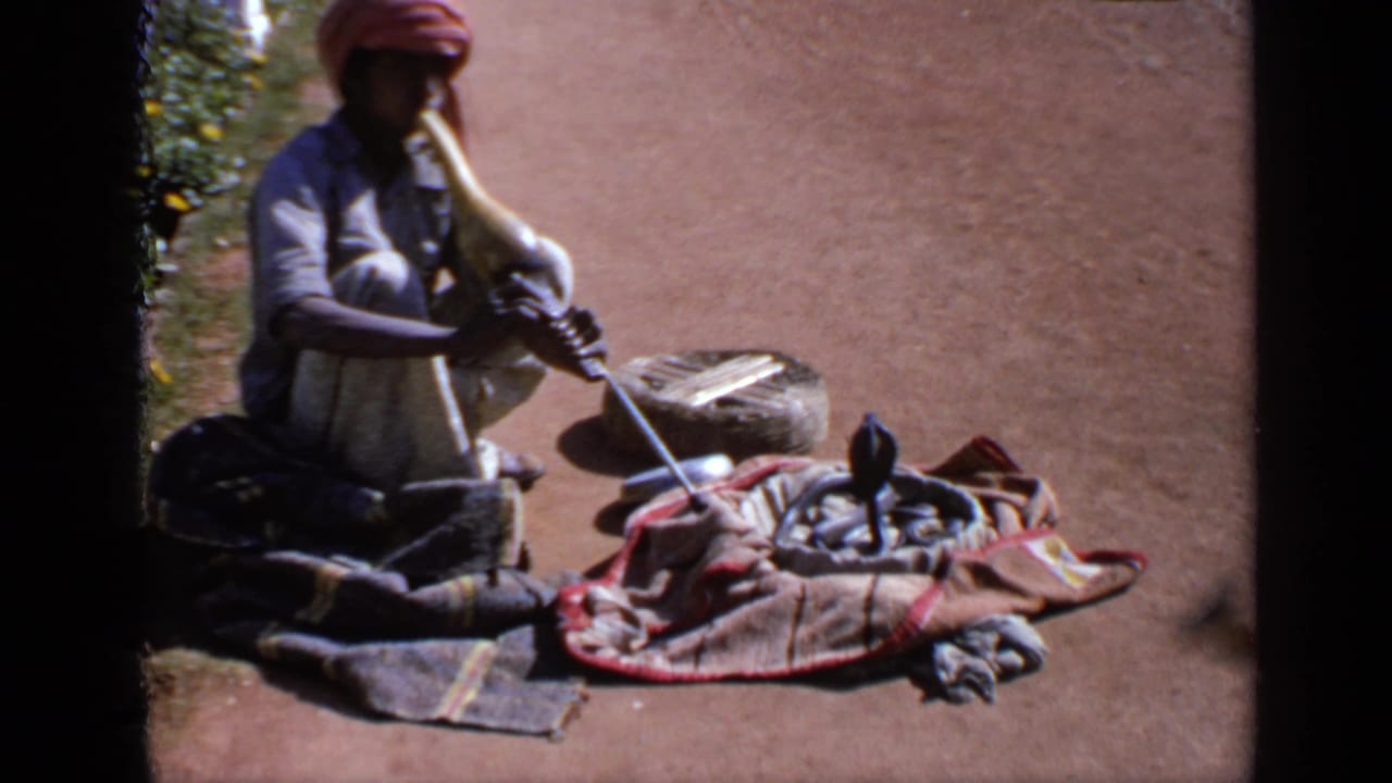 A seated snake charmer plays his instrument beside a coiled cobra on cloth, with the basket and sunlit path visible.