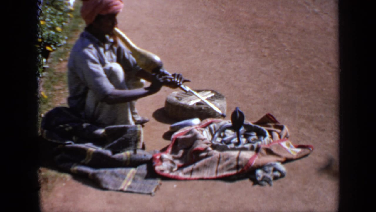 Seated snake charmer playing a wind instrument beside a cobra rising from a cloth-covered basket.