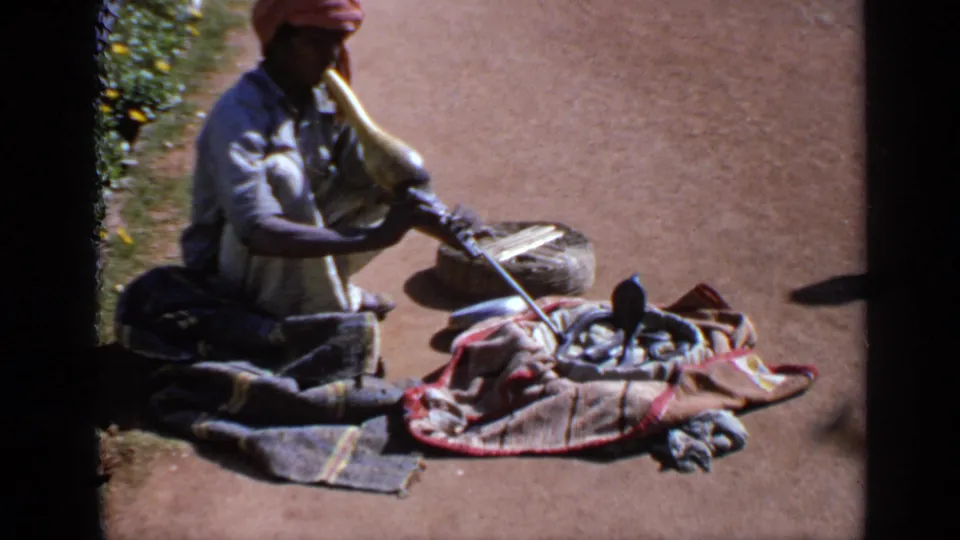 A red-turbaned performer in India sits on the ground playing toward a cobra beside a woven basket in sunlit 8mm footage.