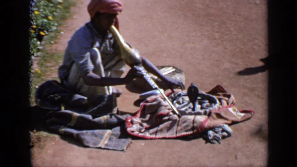 The handheld frame shows the performer seated low, instrument extended, with the cobra raised among cloths and a basket on bare ground.