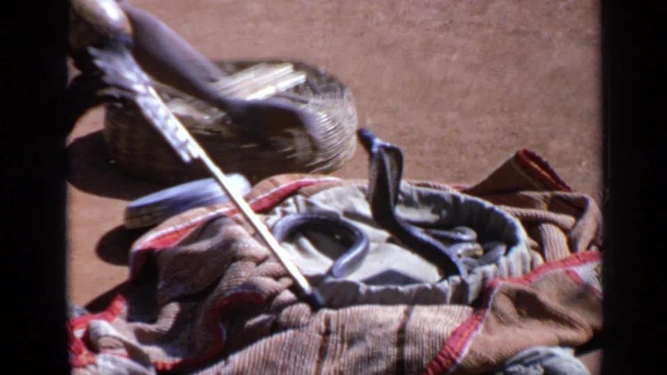 A closer 8mm frame centers the raised cobra, patterned cloth and woven basket, with the performer partly cropped at the edge.