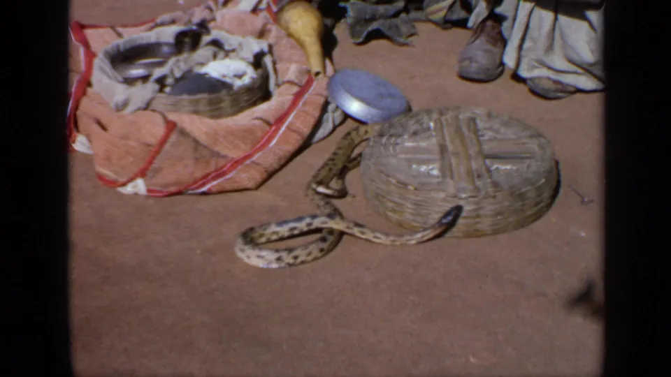 Wider 1970 India frame showing the cobra on dusty ground beside a woven basket, cloth bundle, metal container, and people’s lower legs.