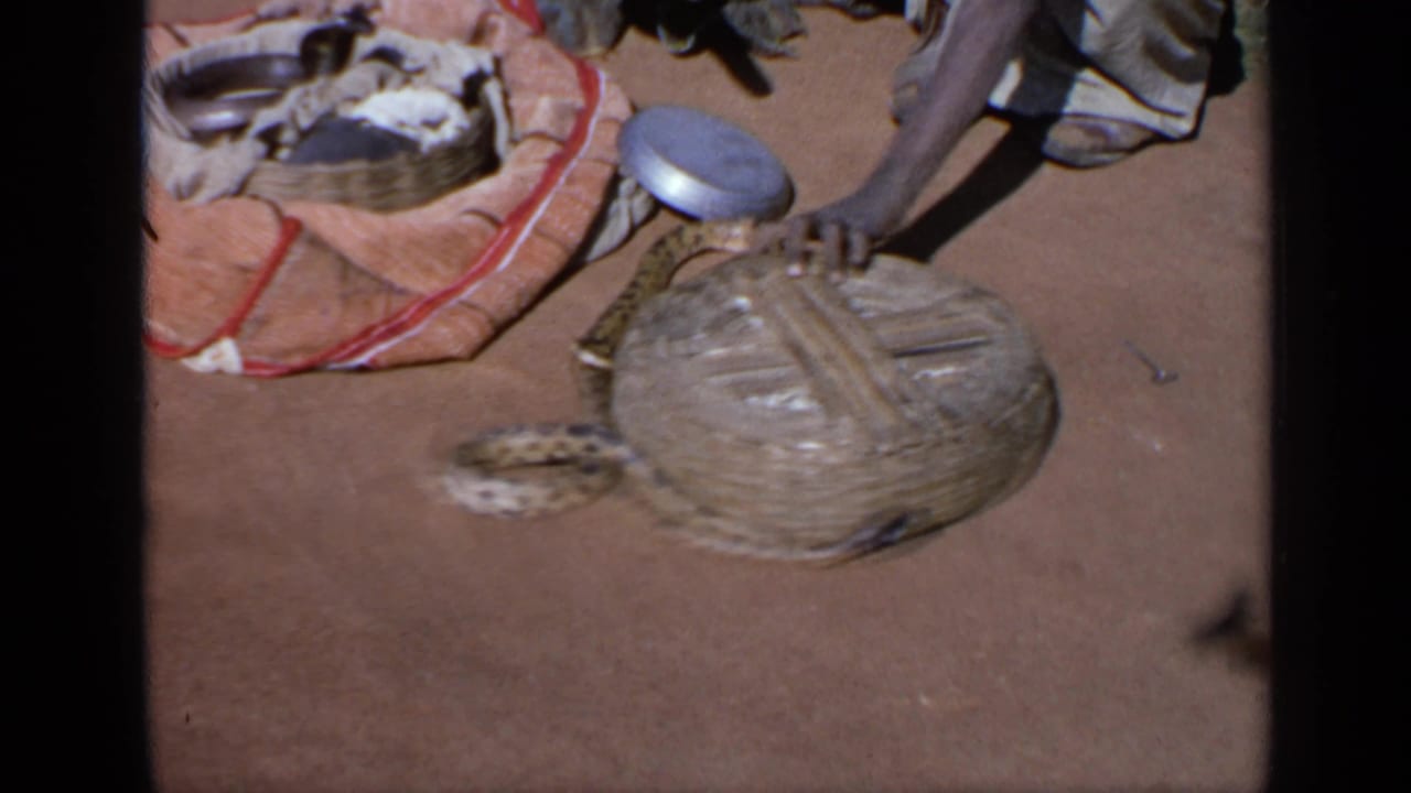 Patterned snake beside a woven basket, cloth bundle and metal dish on dusty ground.