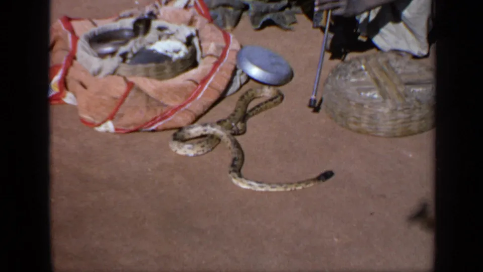 The snake extends across the dusty ground near the basket and cloth-wrapped items in this 1970 India home-movie frame.