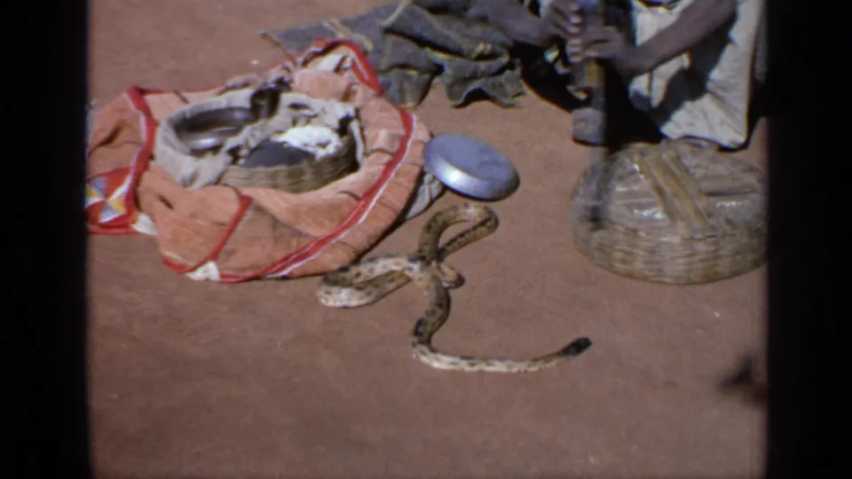 A crouched adult performer appears partly in frame while the snake remains near the woven basket and cloth bundle on dusty ground in India.