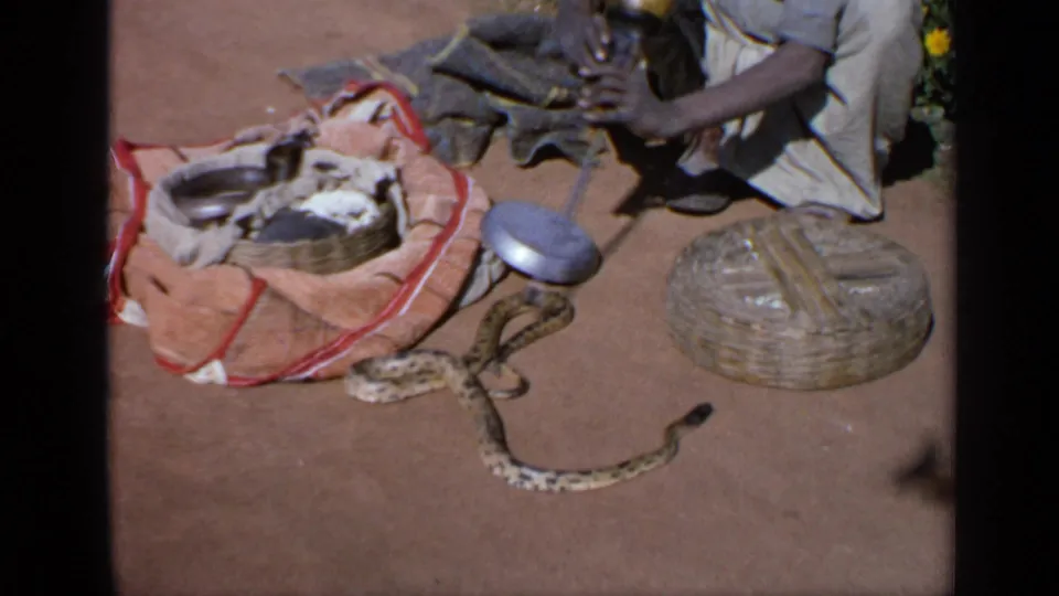 A crouched snake charmer is partly visible beside the patterned snake, basket, cloth bundle and metal dish in 1970 India 8mm footage.