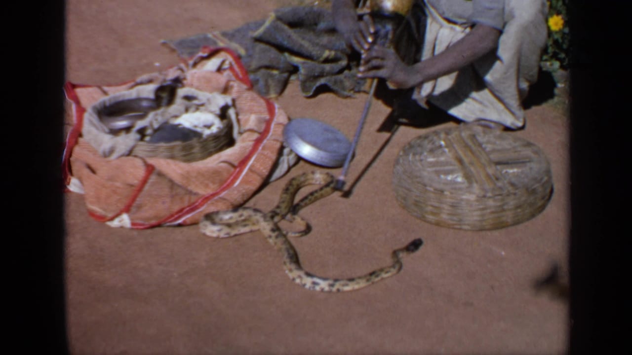 Seated flute player beside a snake, woven baskets, cloth bundle, and metal containers on dusty ground.