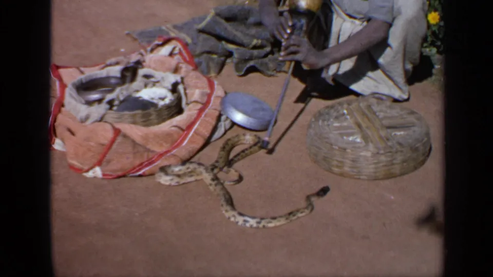 1970 India home-movie frame of a seated snake charmer beside a patterned snake, woven baskets, cloth bundle, and metal containers.