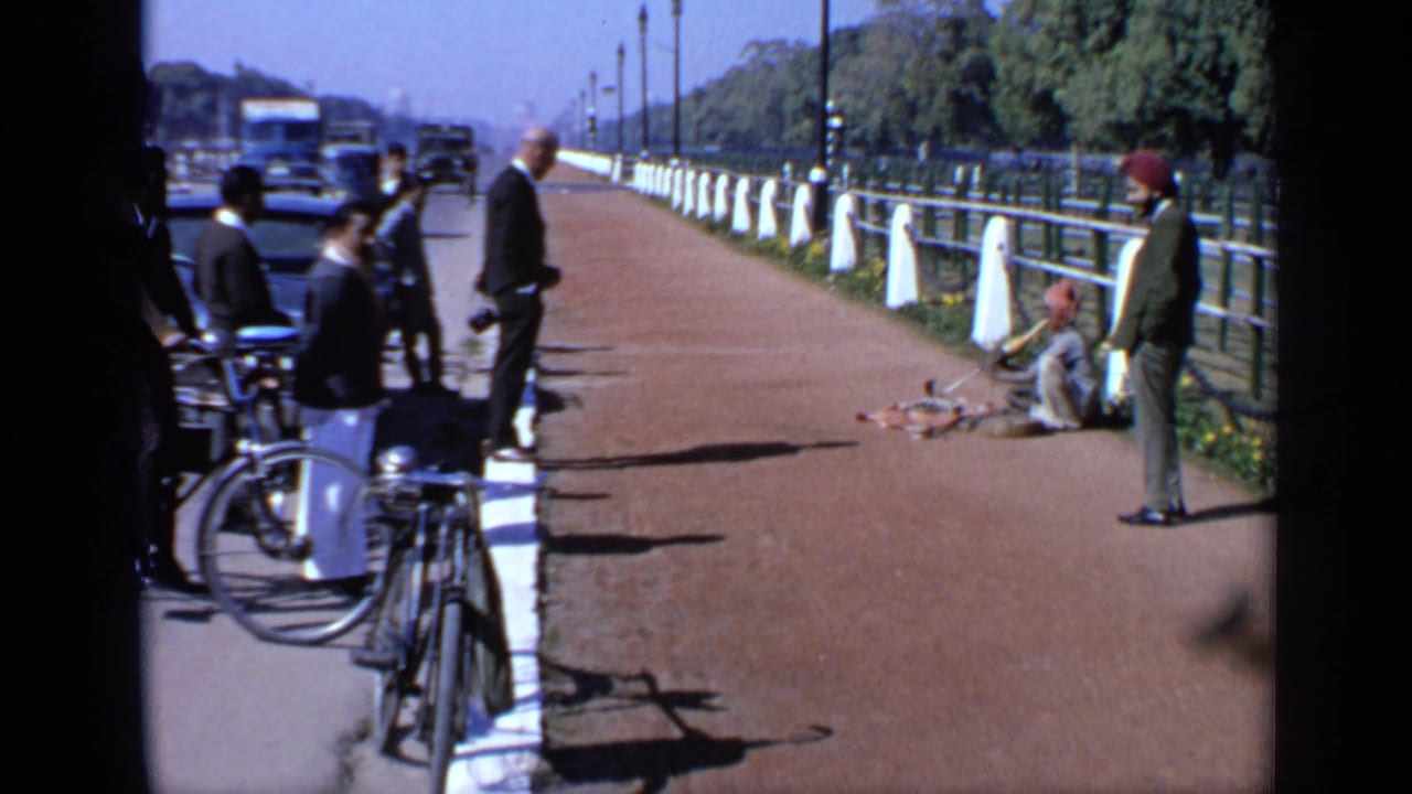 Seated musician near a white-fenced walkway with bicycles, cars, and onlookers nearby.