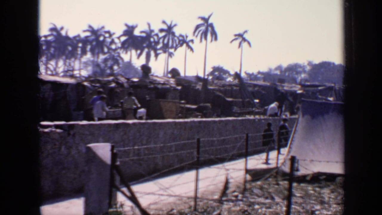 Pedestrians walk beside a stone wall with palm trees and low structures in the background.