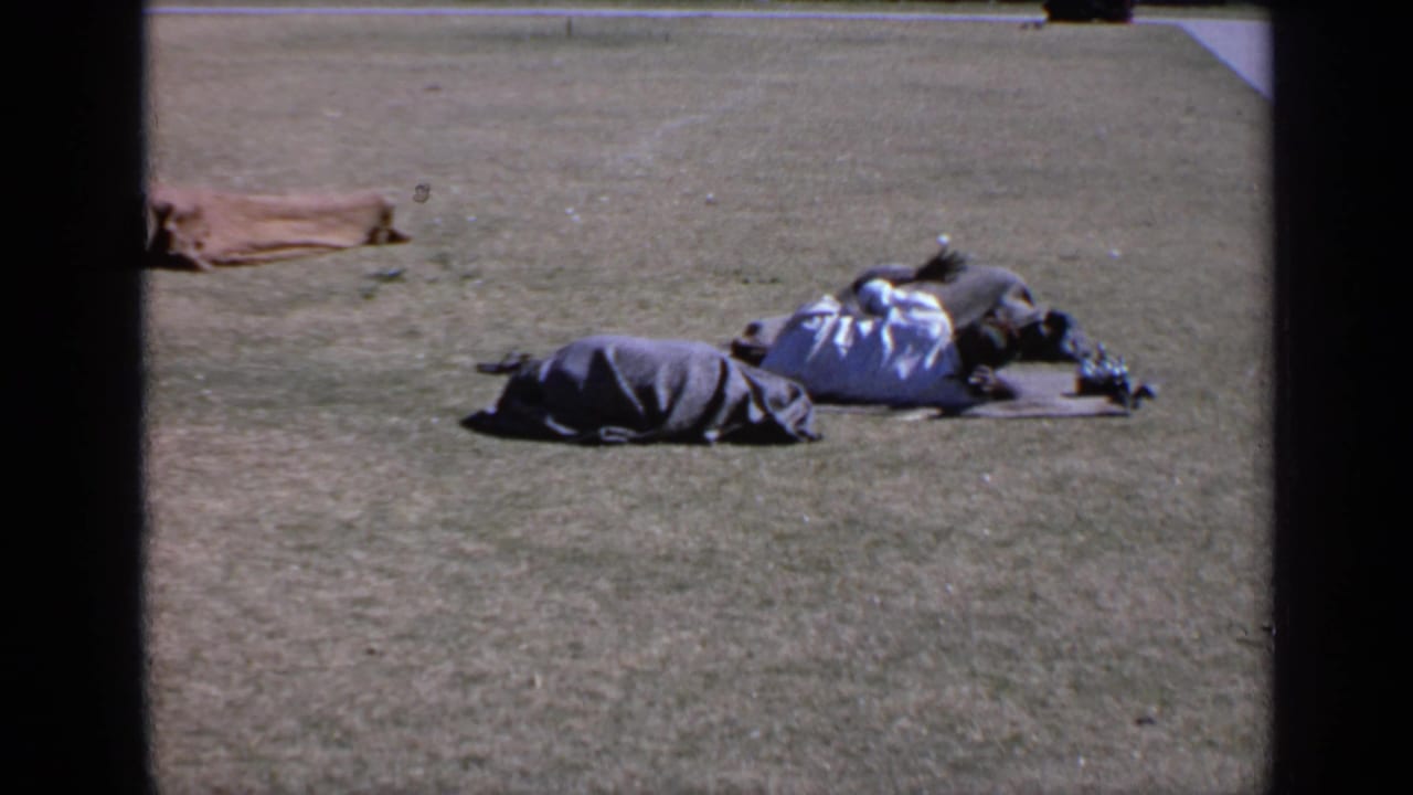 People lying on grass under blankets in an open outdoor area.