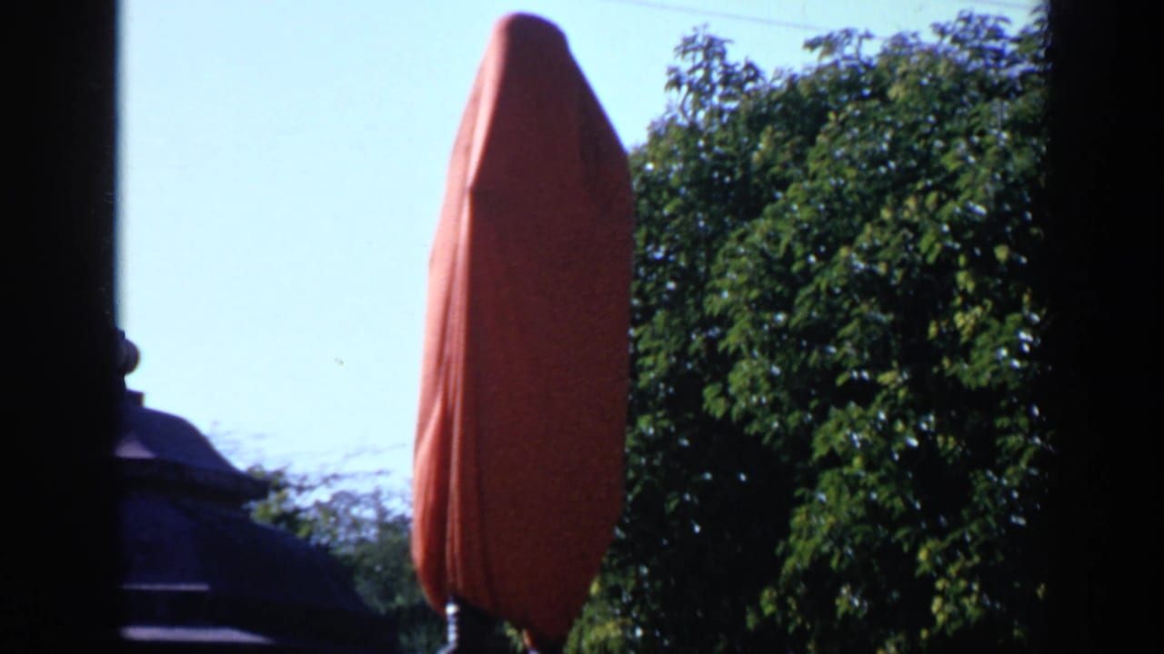 Red-draped vertical object beside leafy trees in a sunlit garden.