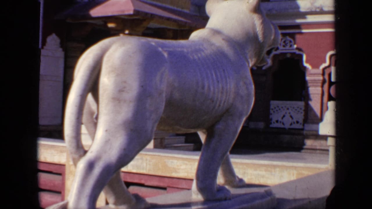 White lioness statue seen from behind beside an ornate building exterior.